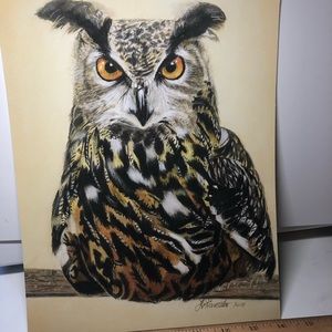 Colored pencil print, Great horned owl.